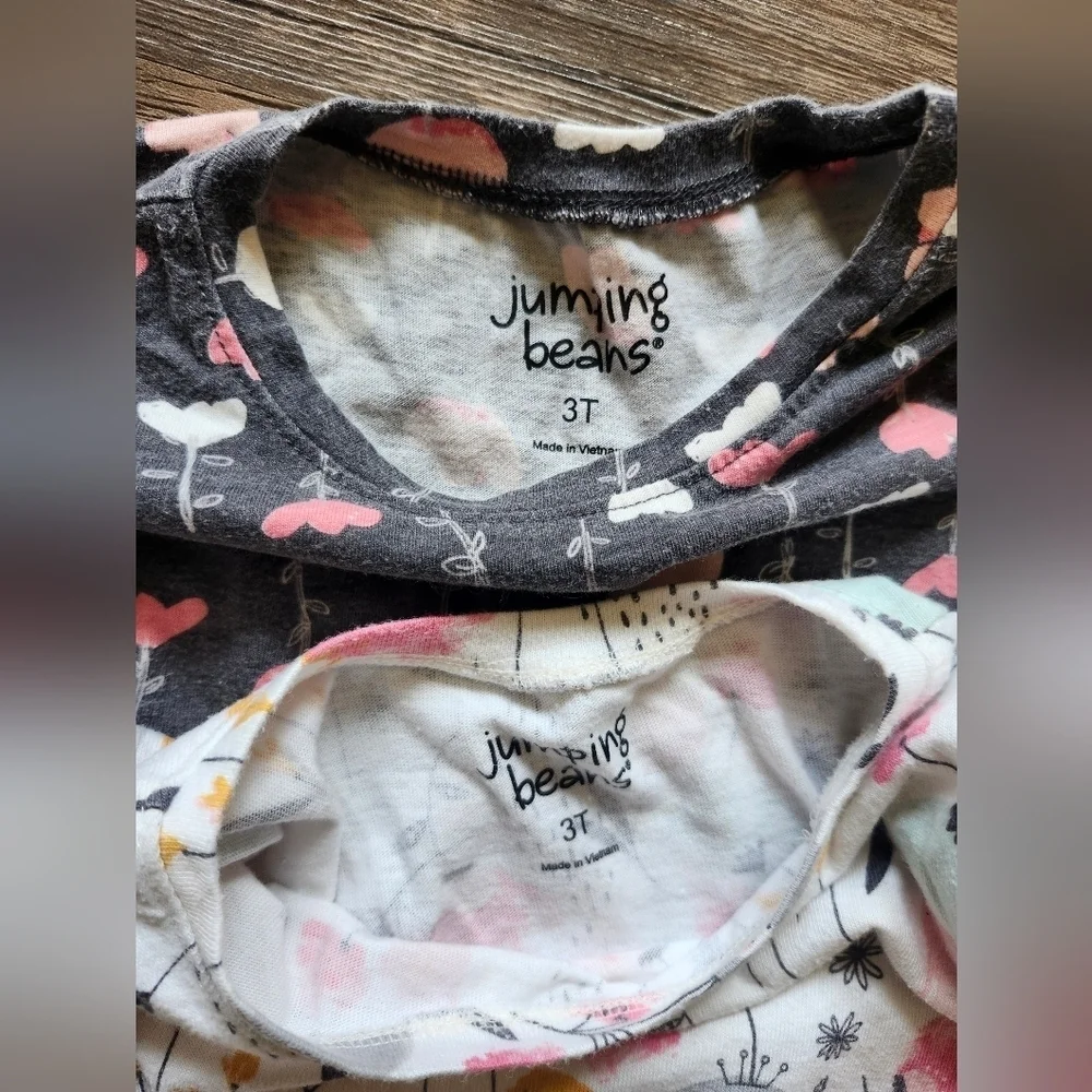 Jumping Beans 3t Bell Sleeve Floral Dress Bundle